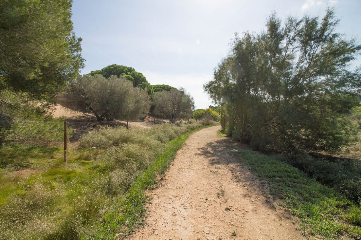 Clot de Galvany Municipal Natural Park