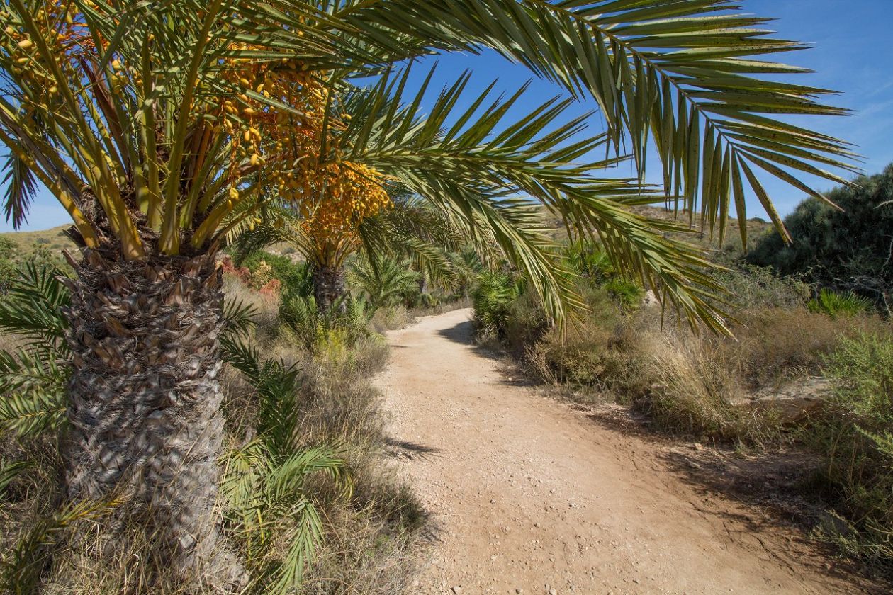 Clot de Galvany Municipal Natural Park