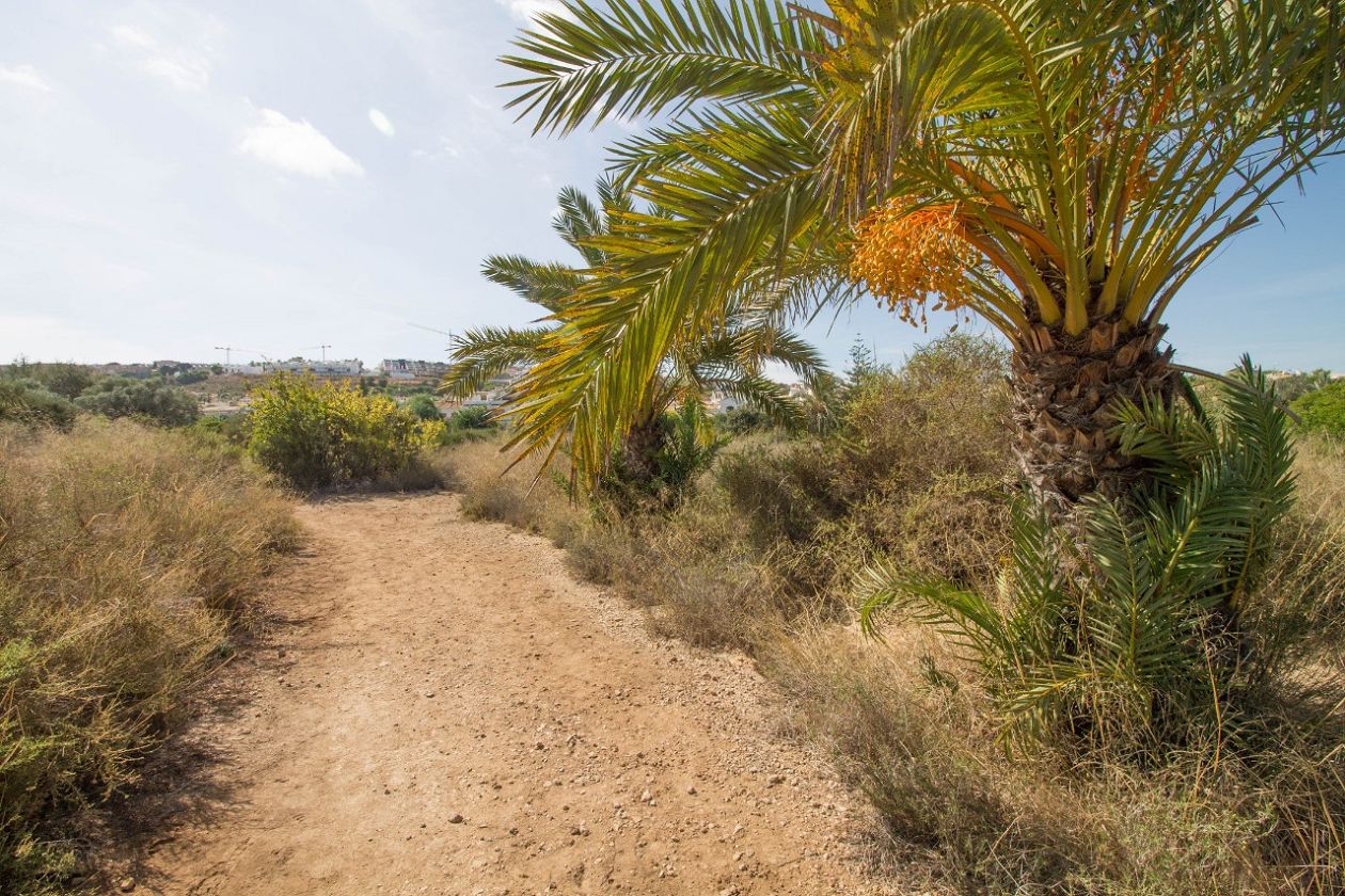 Clot de Galvany Municipal Natural Park