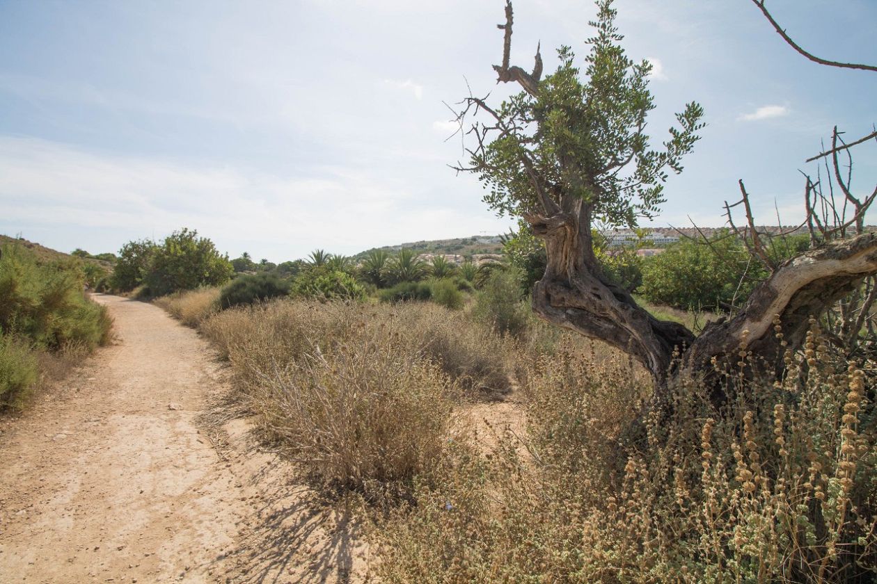 Clot de Galvany Municipal Natural Park