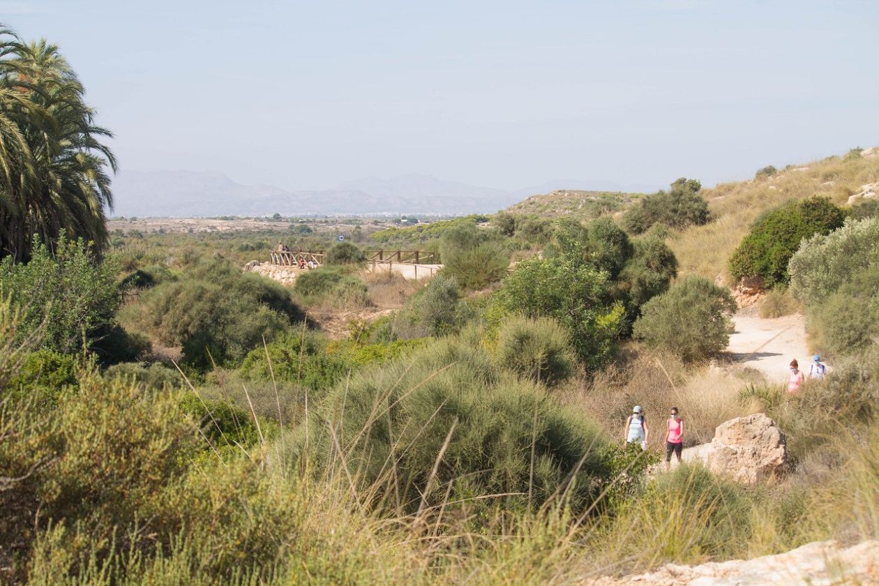 Clot de Galvany Municipal Natural Park