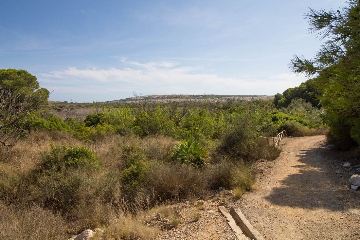 Clot de Galvany Municipal Natural Park