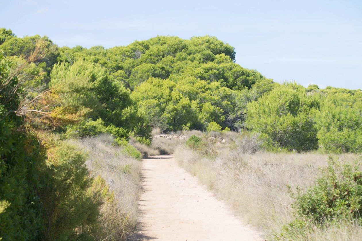 Clot de Galvany Municipal Natural Park