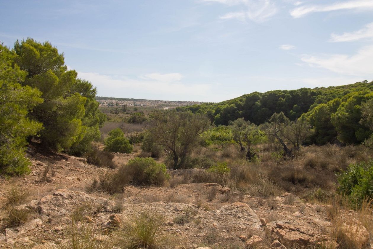 Clot de Galvany Municipal Natural Park