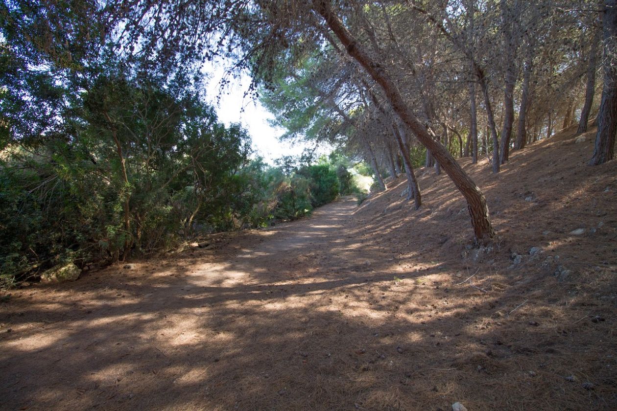 Clot de Galvany Municipal Natural Park