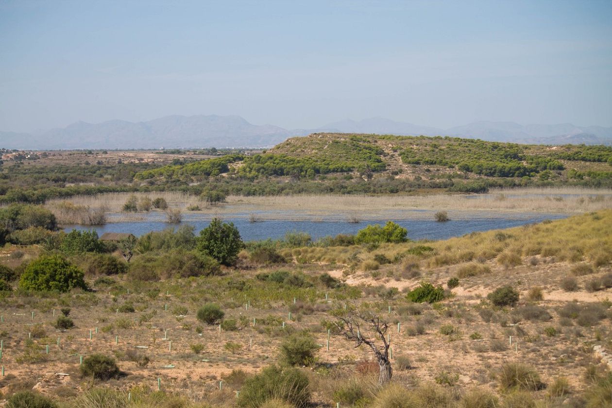 Clot de Galvany Municipal Natural Park