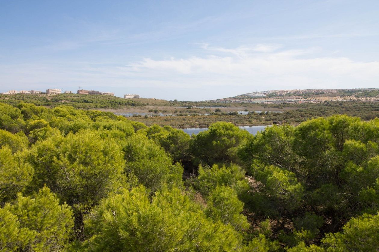 Clot de Galvany Municipal Natural Park