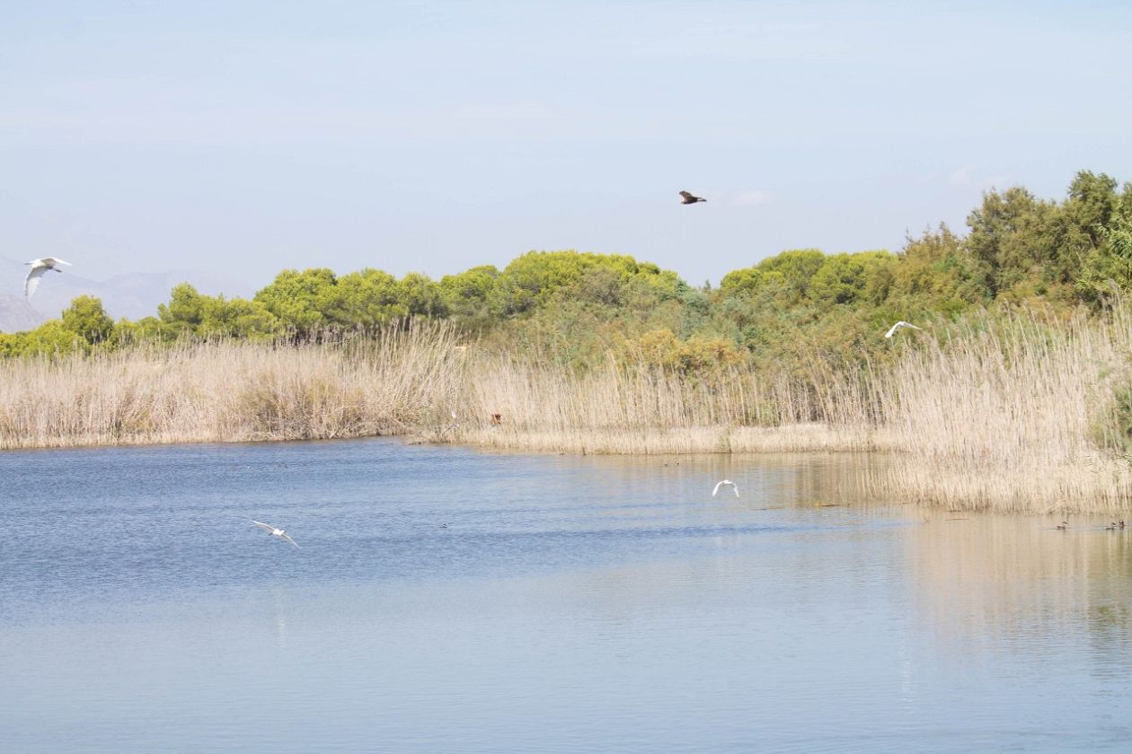 Clot de Galvany Municipal Natural Park