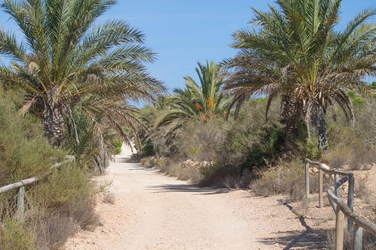 Clot de Galvany Municipal Natural Park