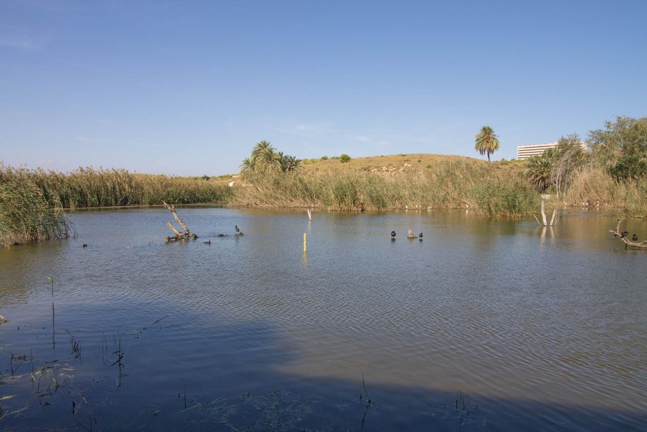 Clot de Galvany Municipal Natural Park