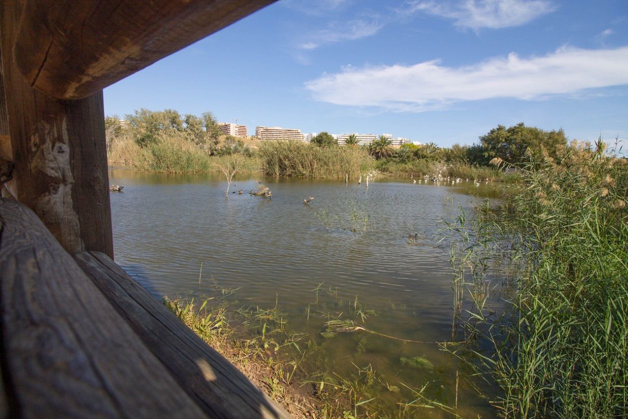 Clot de Galvany Municipal Natural Park