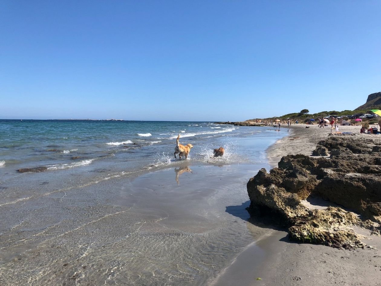 Caleta del Gossets - The Dogs Cove - Santa Pola East