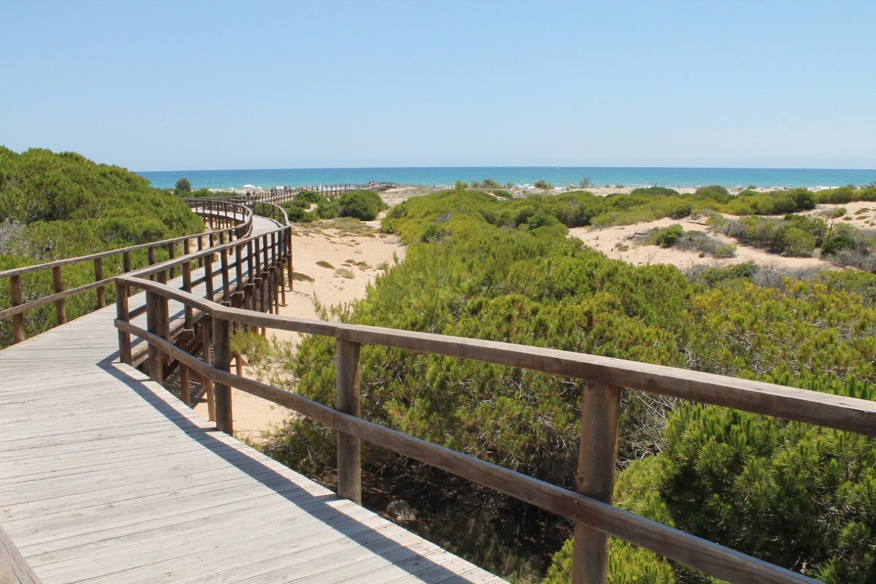 Playa del Carabassi - Carabassi Beach - Elche