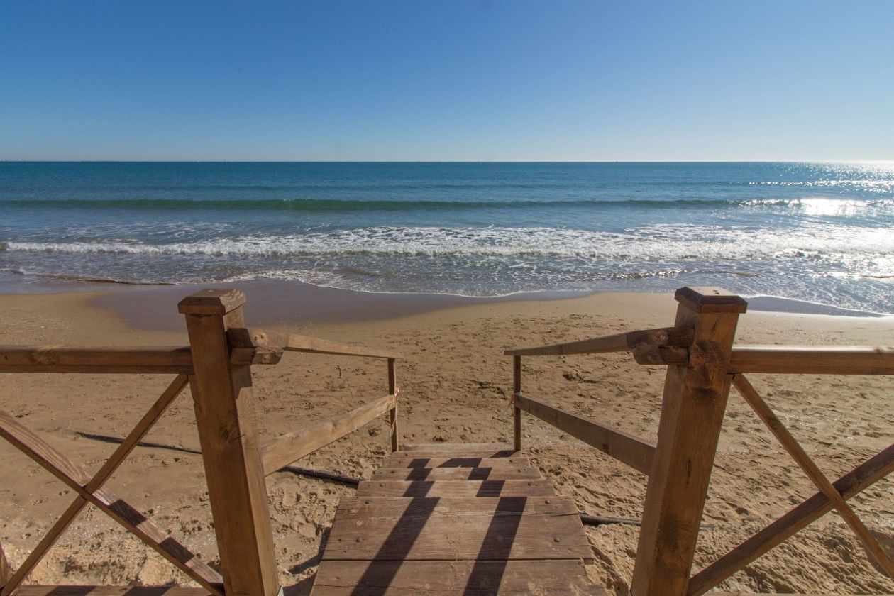 Playa El Pinet -  The Pine Beach - Elche