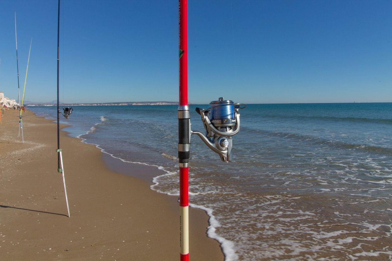 Playa El Pinet -  The Pine Beach - Elche