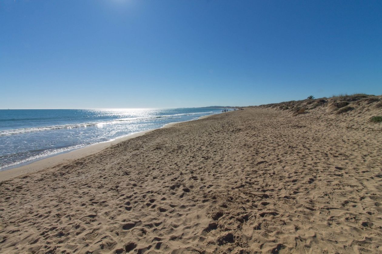 Playa El Pinet -  The Pine Beach - Elche