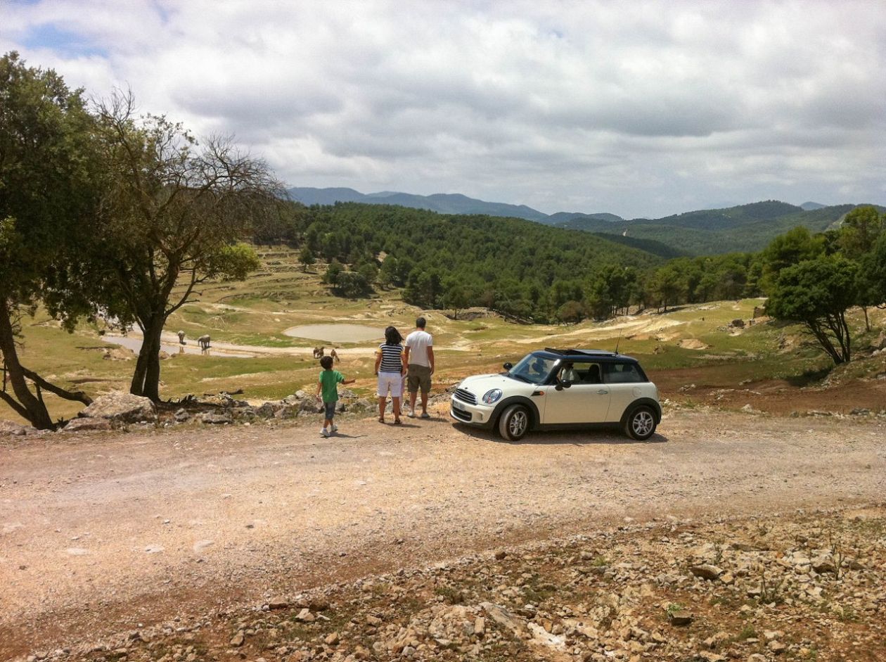 Safari Aitana - Penàguila