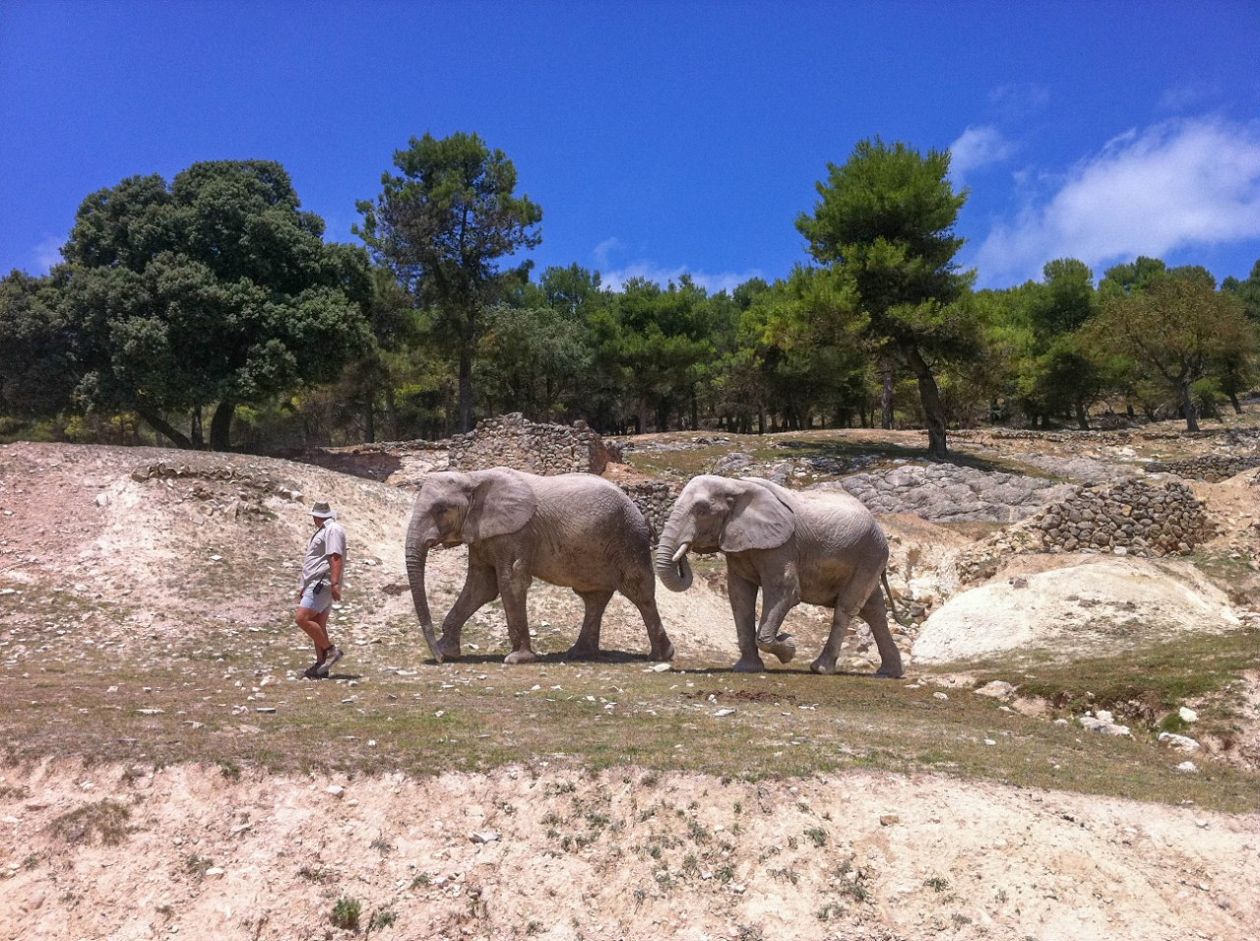 Safari Aitana - Penàguila