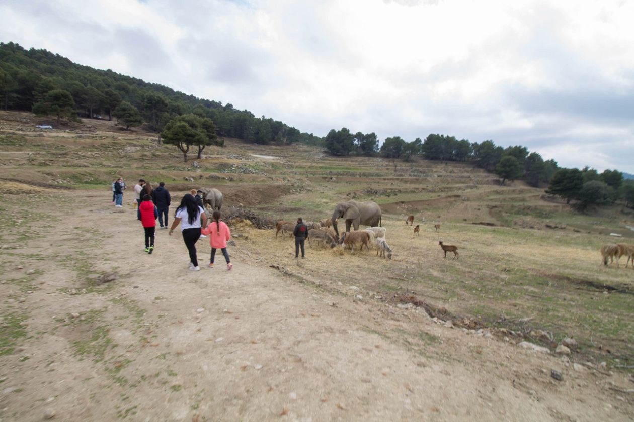 Safari Aitana - Penàguila