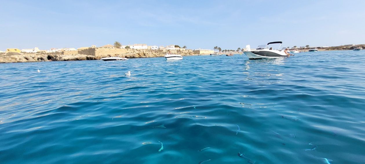 Tabarca Island