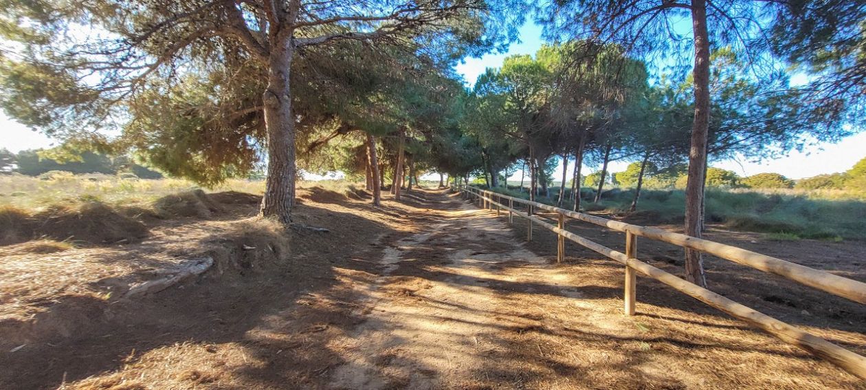 Natural Park of La Mata-Torrevieja