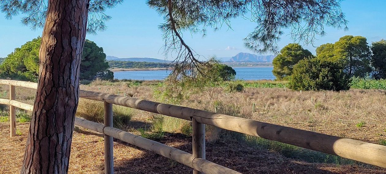 Natural Park of La Mata-Torrevieja