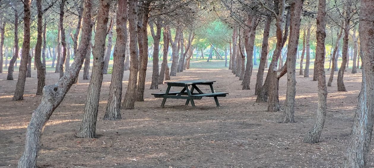 Natural Park of La Mata-Torrevieja