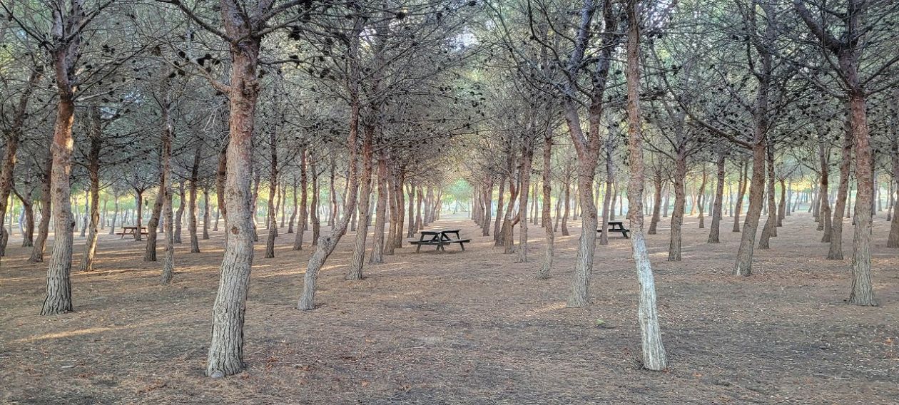 Natural Park of La Mata-Torrevieja