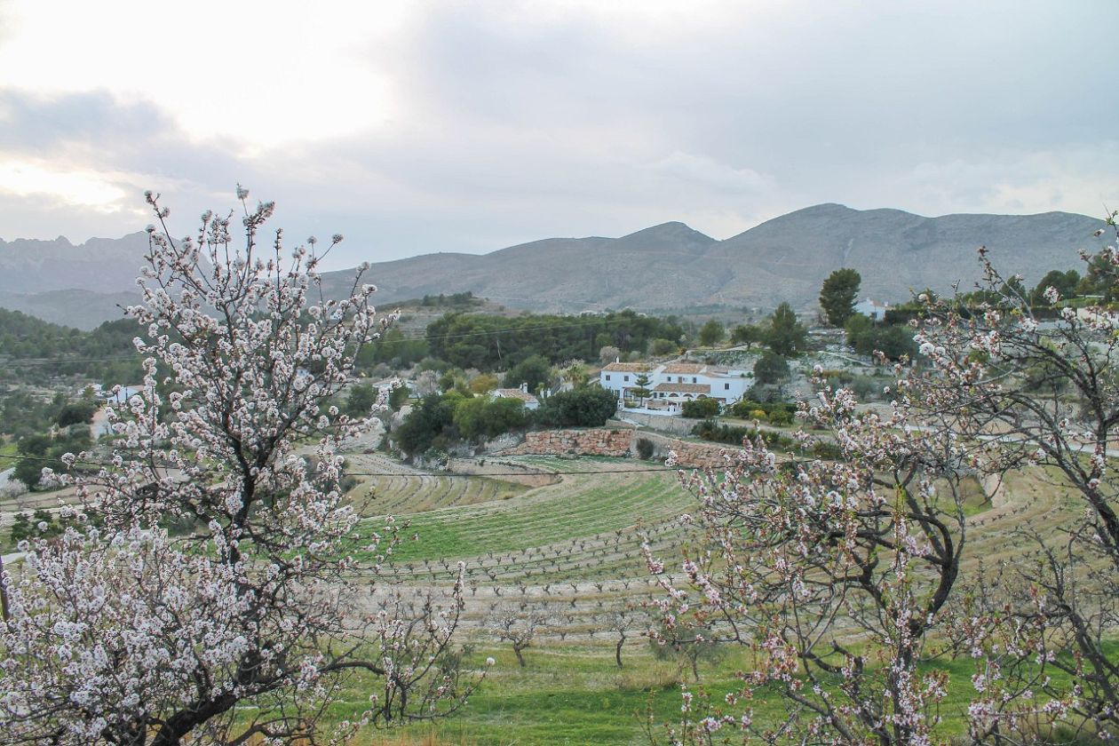 Jalón Valley