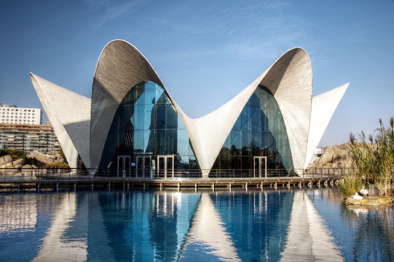 Oceanografic Aquarium - Valencia