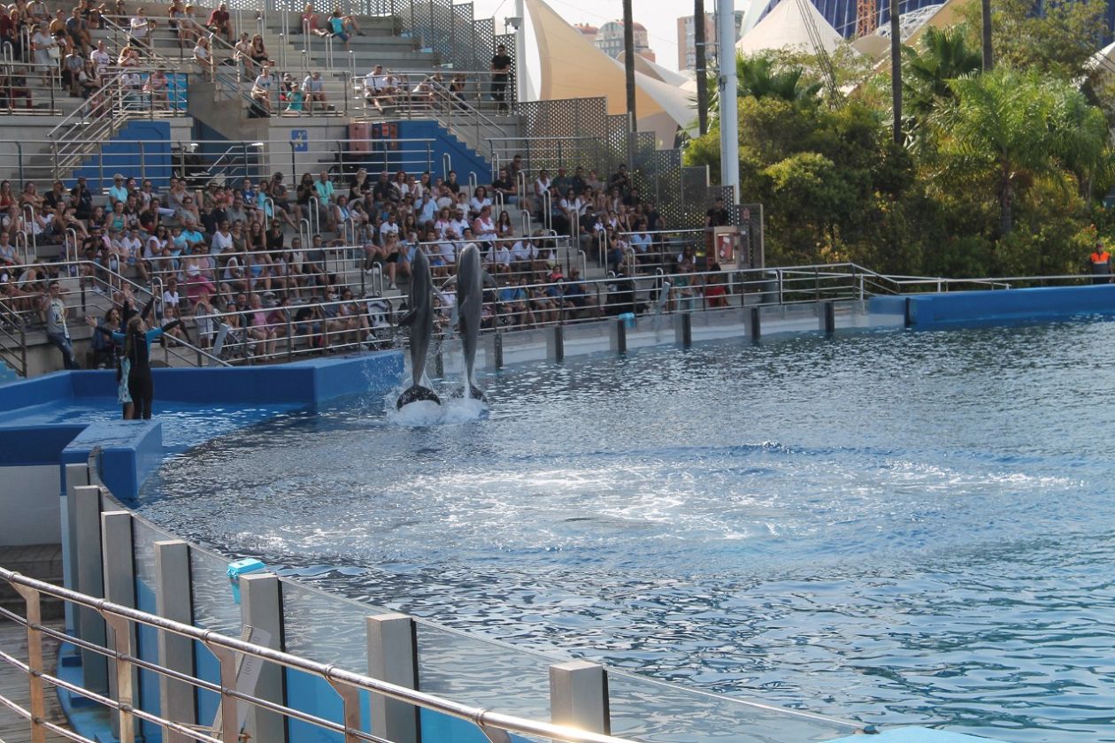 Oceanografic Aquarium - Valencia