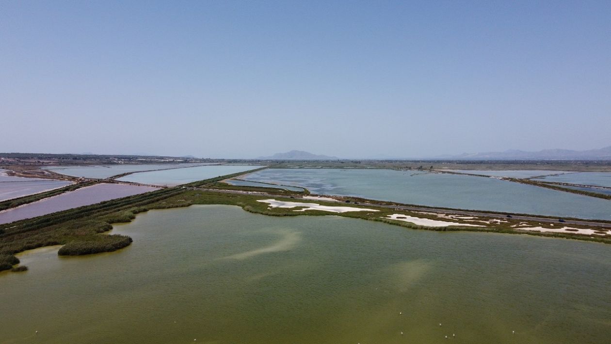 Salt Lakes (Santa Pola)