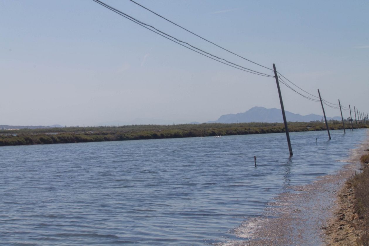 Salt Lakes (Santa Pola)