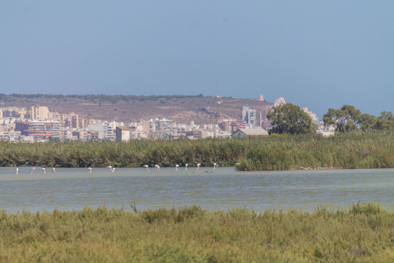 Salt Lakes (Santa Pola)