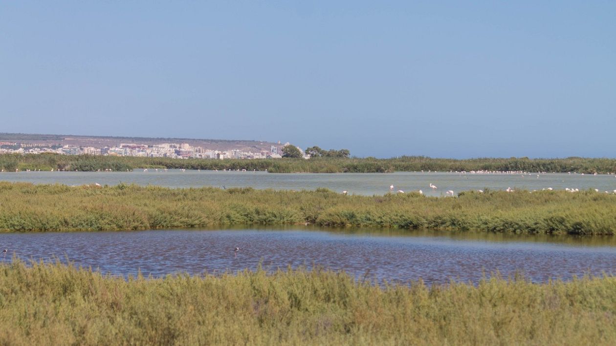 Salt Lakes (Santa Pola)