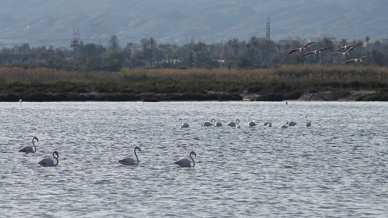 Salt Lakes (Santa Pola)