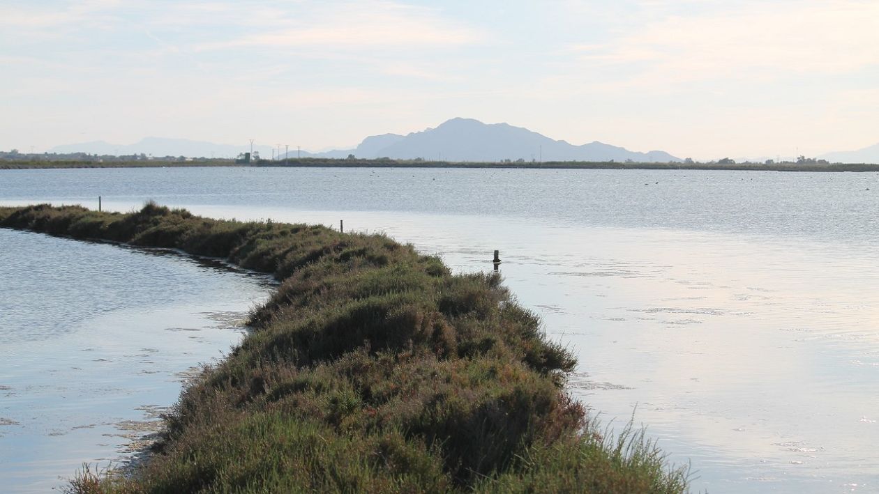 Salt Lakes (Santa Pola)