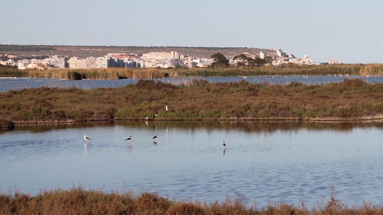 Salt Lakes (Santa Pola)