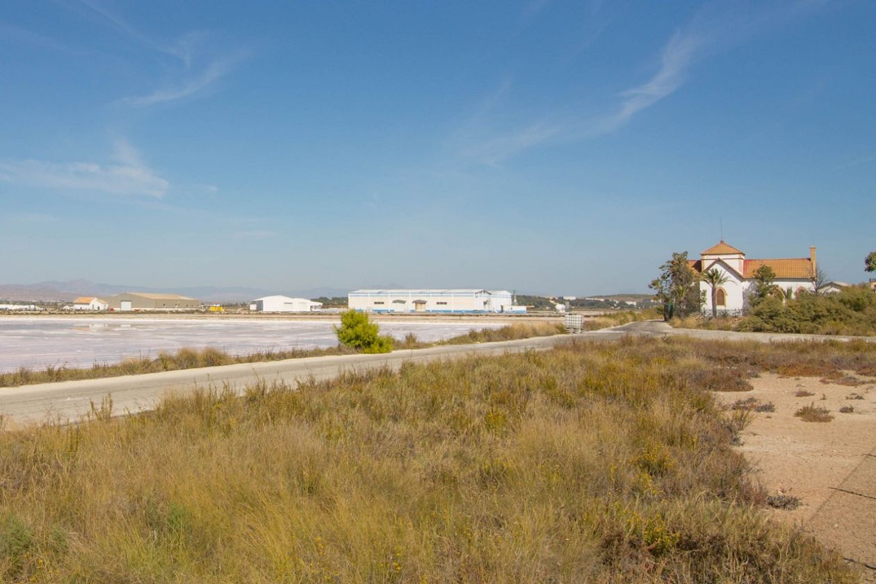 Salt Lakes (Santa Pola)