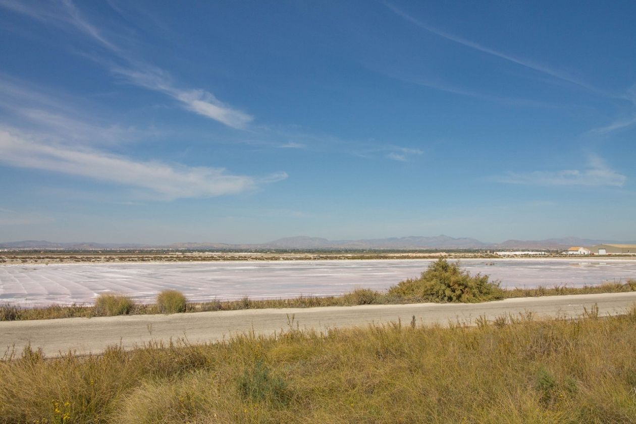 Salt Lakes (Santa Pola)