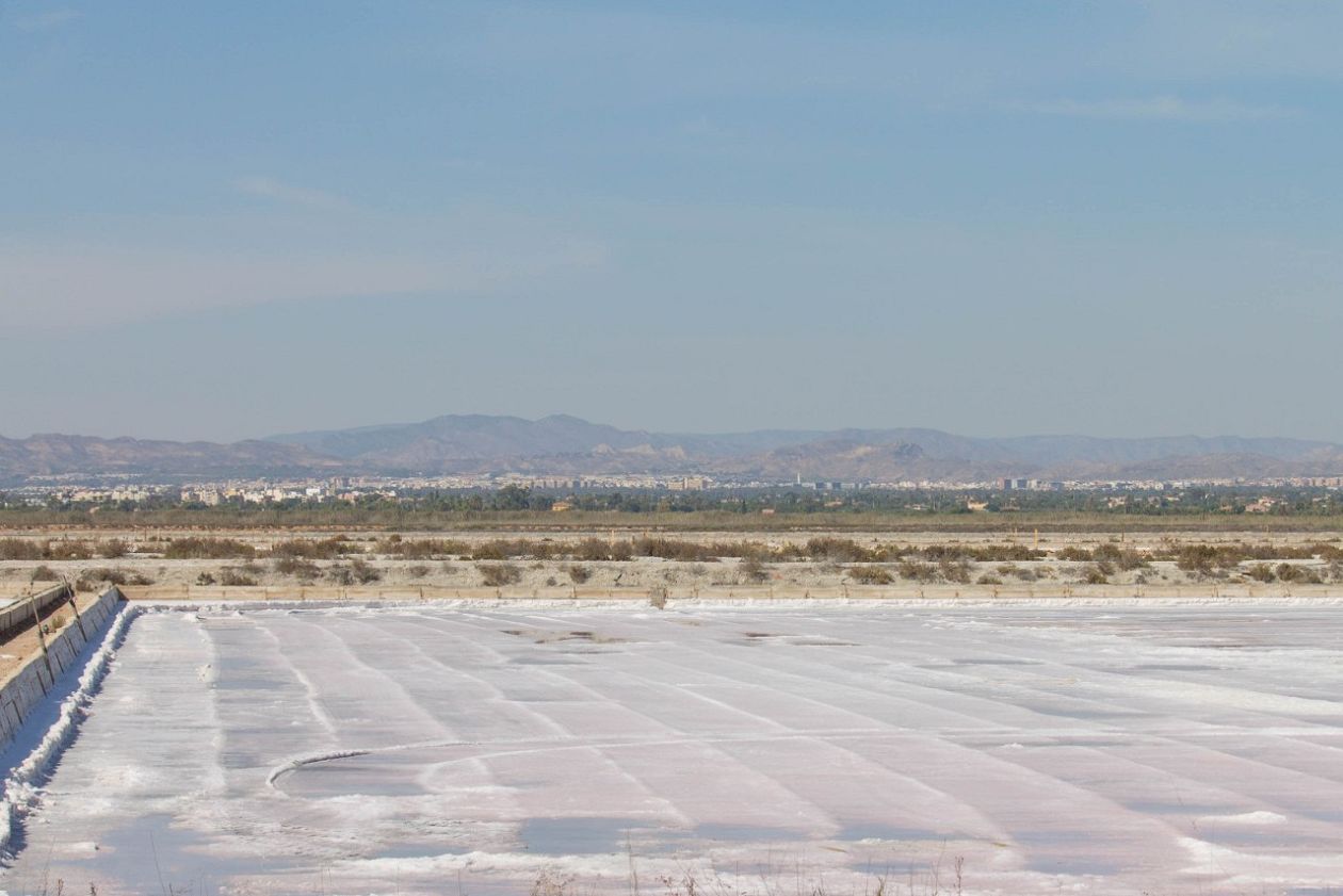 Salt Lakes (Santa Pola)