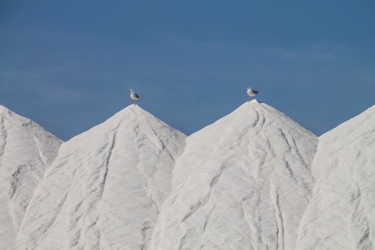 Salt Lakes (Santa Pola)