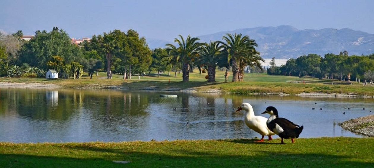 Bonalba Golf Club