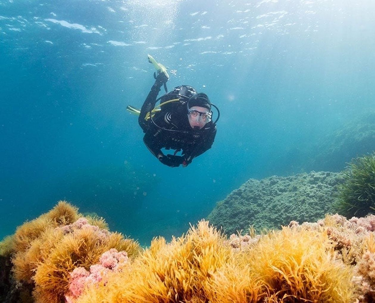 Scuba Diving & Snorkeling