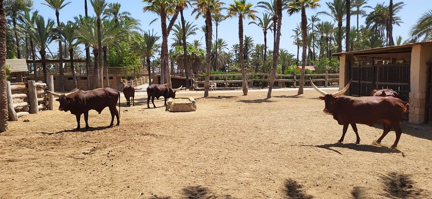 Rio Safari & Water Park 