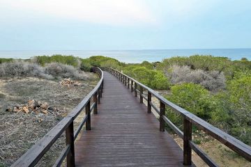 Apartamento Moncayo - Guardamar Del Sergura